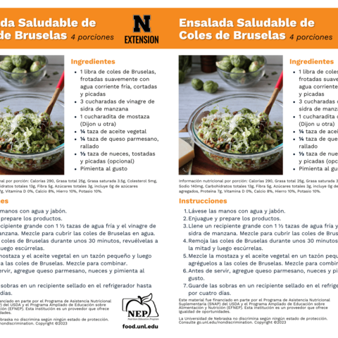 Handout - Brussels Sprouts - Spanish - Brussels Sprouts Salad Recipes