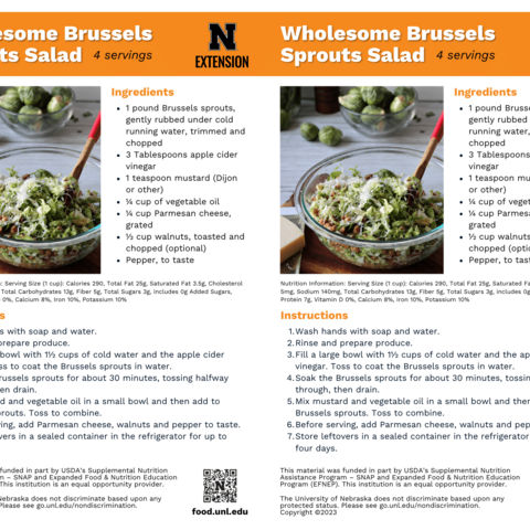 Handout - Brussels Sprouts - Brussels Sprouts Salad Recipes