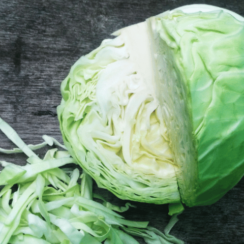 Cabbage