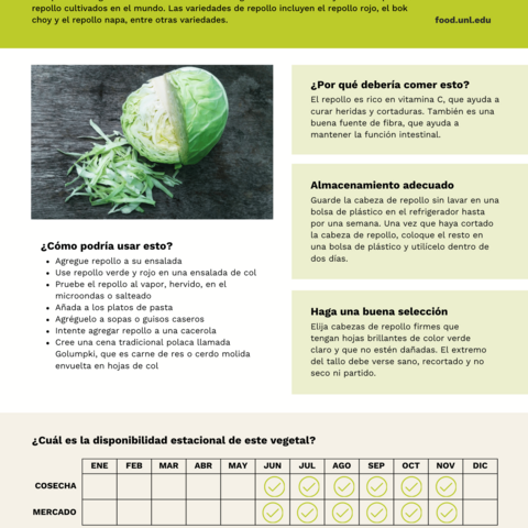 Handout - Cabbage - Spanish