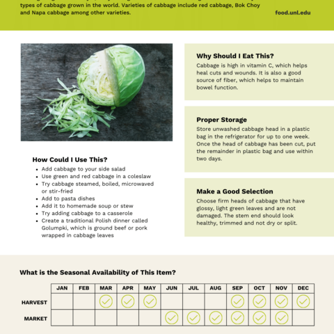 Handout - Cabbage