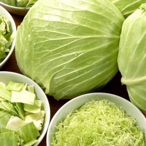 Real Talk about Cabbage Video