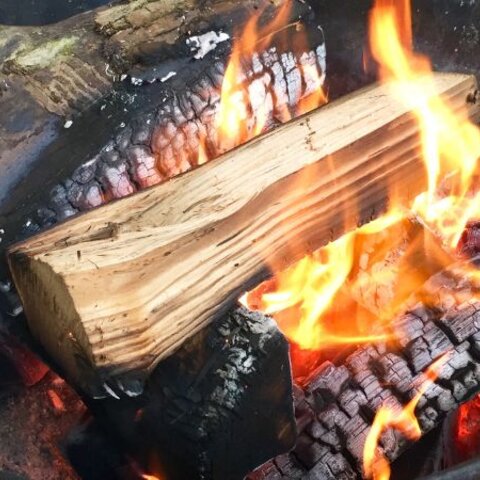 Backyard Campfire Cooking