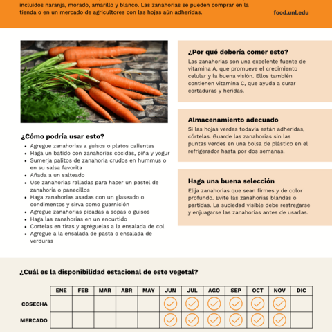 Handout - Carrots - Spanish