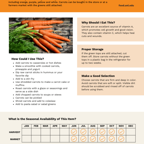 Handout - Carrots