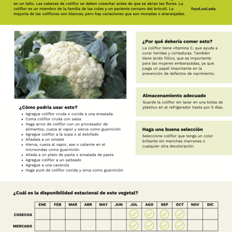 Handout - Cauliflower - Spanish