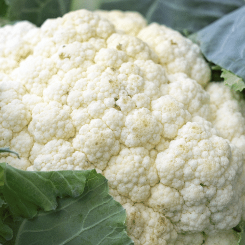 Cauliflower