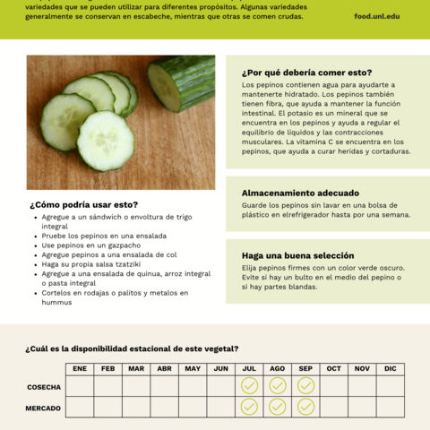 Handout - Cucumber - Spanish