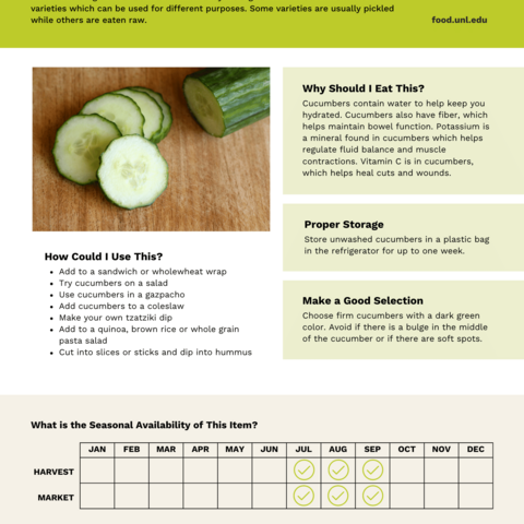 Handout - Cucumber