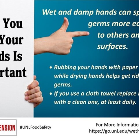 How You Dry Your Hands is Important