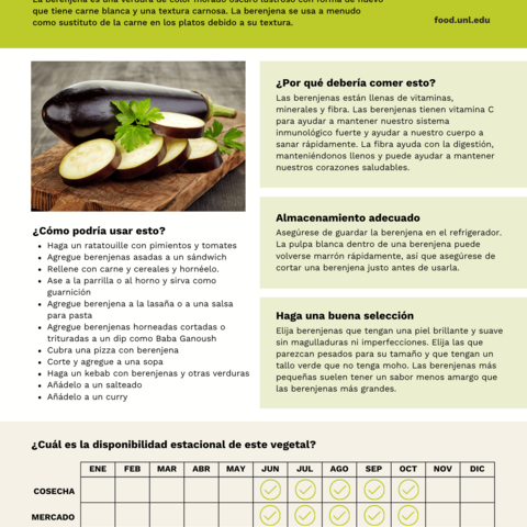 Handout - Eggplant - Spanish