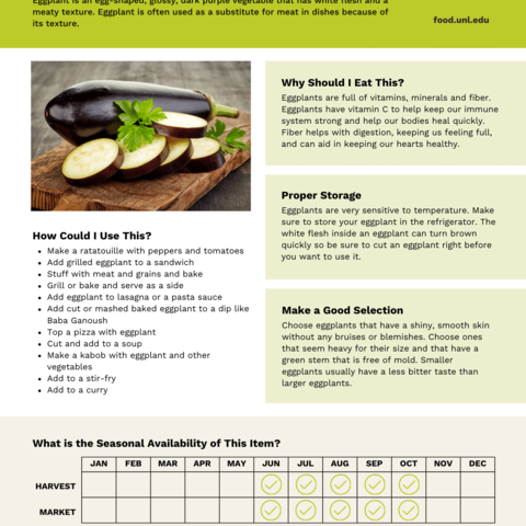 Handout - Eggplant