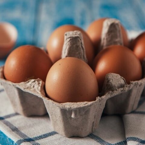 Cracking the Date Code on Egg Cartons