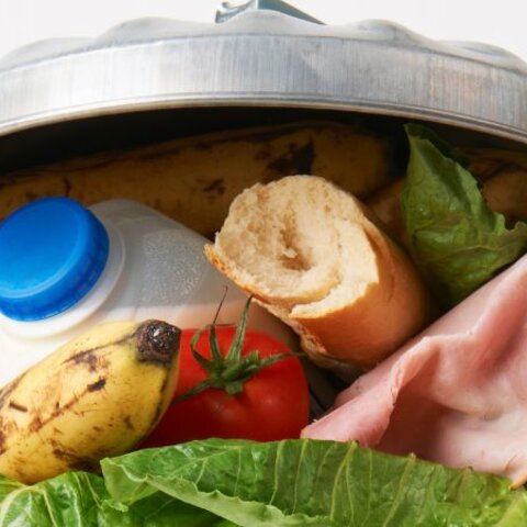 Preventing Food Waste
