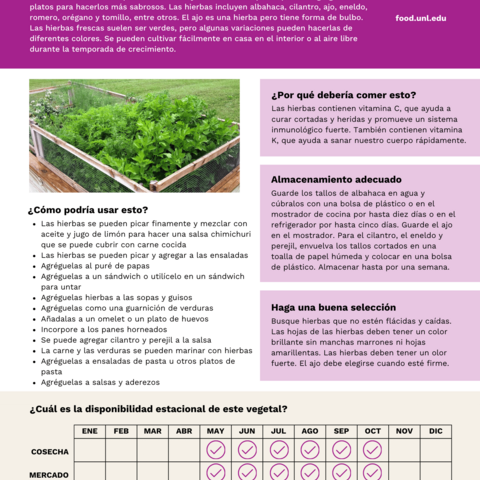 Handout - Fresh Herbs - Spanish