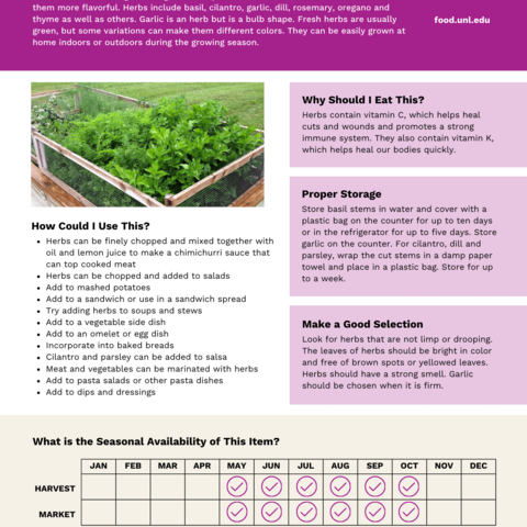 Handout - Fresh Herbs