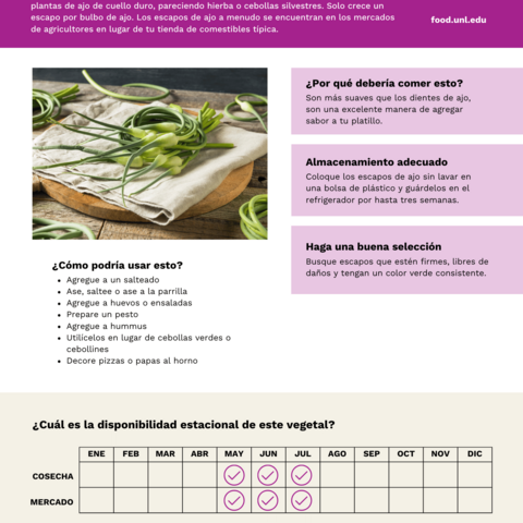 Handout - Garlic Scapes - Spanish