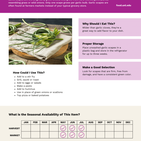 Handout - Garlic Scapes