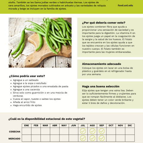 Handout - Green Beans - Spanish