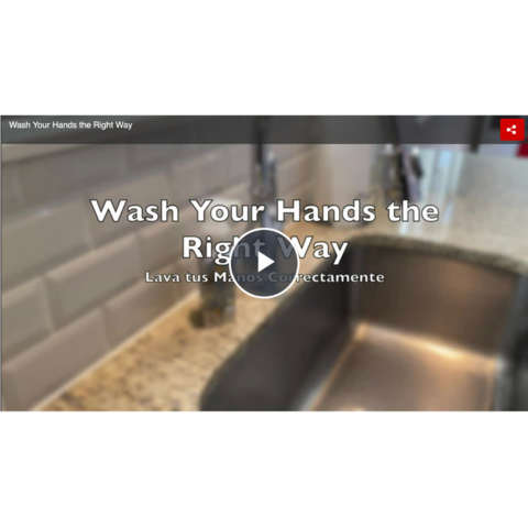 Handwashing Video