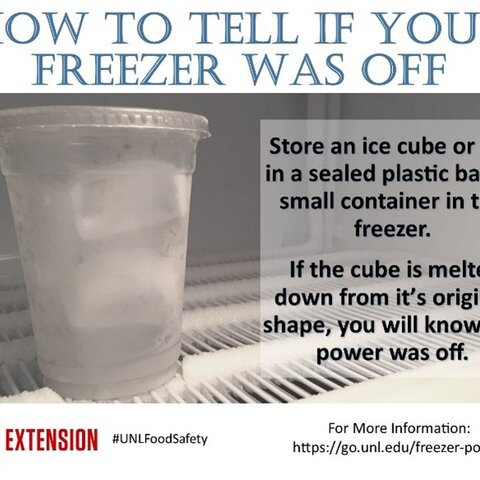 How to Tell if Your Freezer was Off
