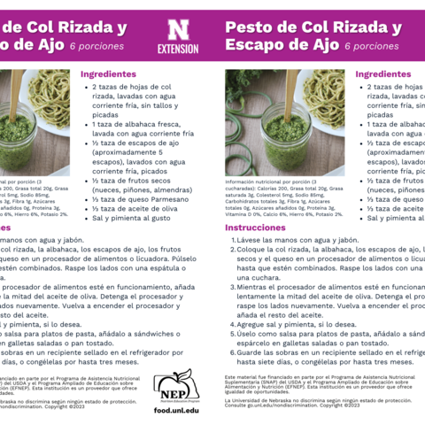 Handout - Garlic Scapes - Spanish - Kale and Garlic Scape Pesto Recipes