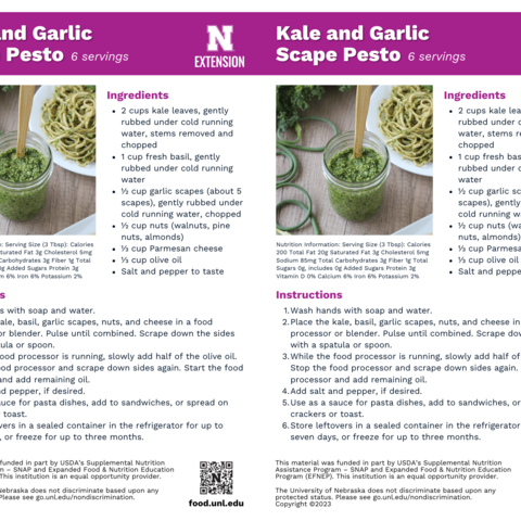 Handout - Garlic Scapes - Kale and Garlic Scape Pesto Recipes