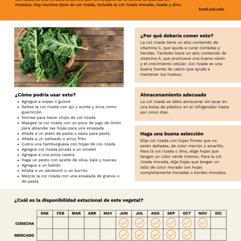 Handout - Kale - Spanish