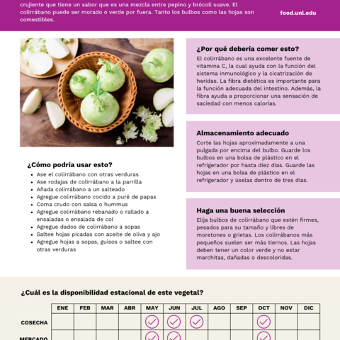 Handout - Kohlrabi - Spanish