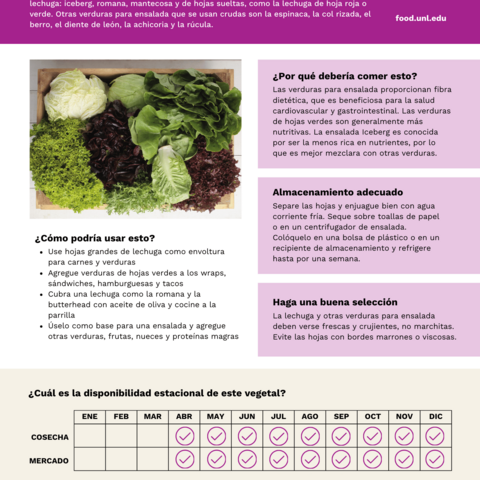 Handout - Leafy Salad Greens - Spanish