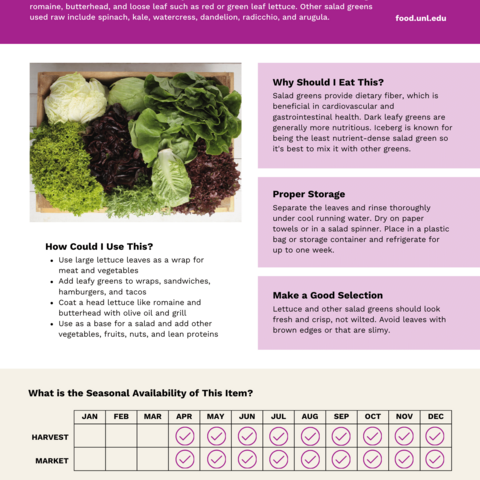 Handout - Leafy Salad Greens