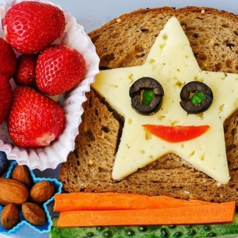 Planning a Nutritious School Lunch 