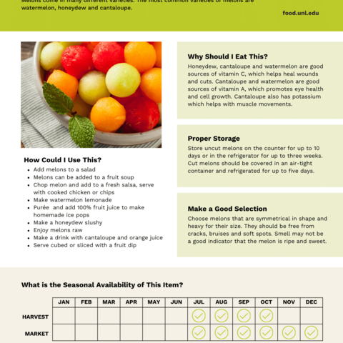 Handout - Melons