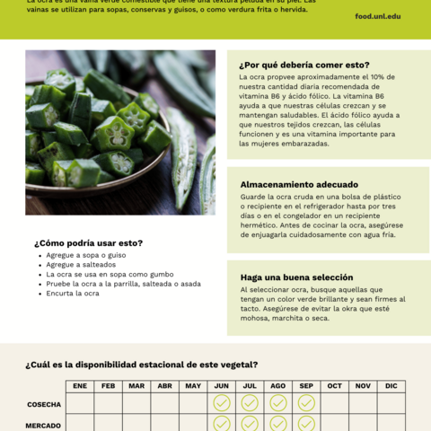 Handout - Okra - Spanish