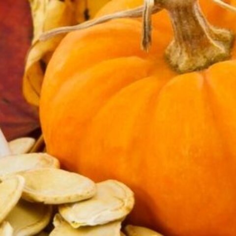 Try Each Part of the Pumpkin in a New Way