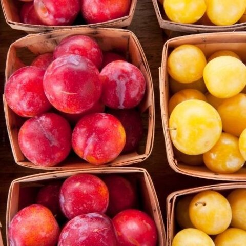 Fruits that Continue to Ripen after Picking