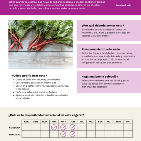 Handout - Rhubarb - Spanish