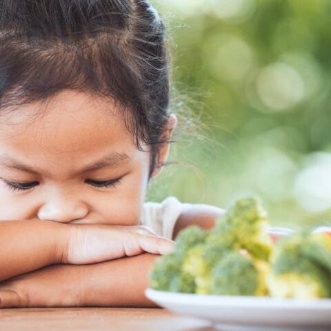 Feeding without the Fuss Presentation