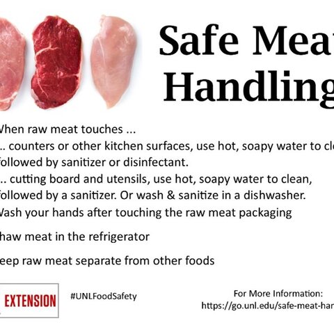 Safe Meat Handling