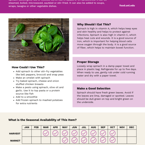 Handout - Spinach