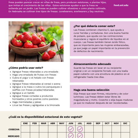 Handout - Strawberries - Spanish