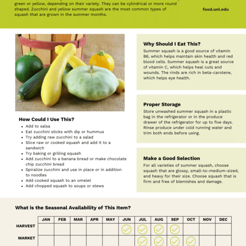 Handout - Summer Squash