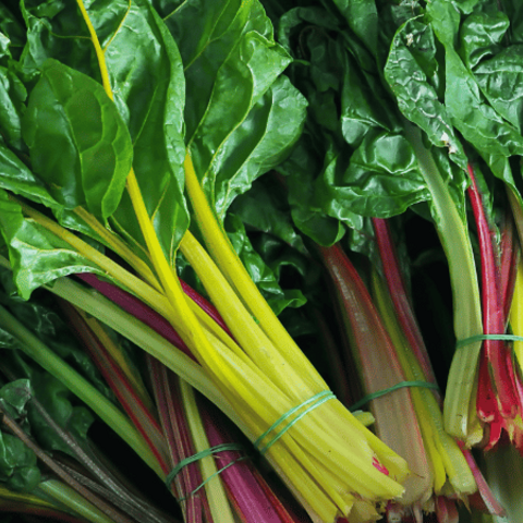 Swiss Chard