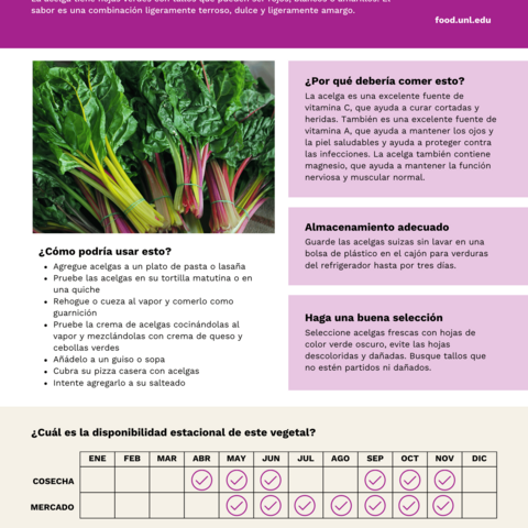 Handout - Swiss Chard - Spanish