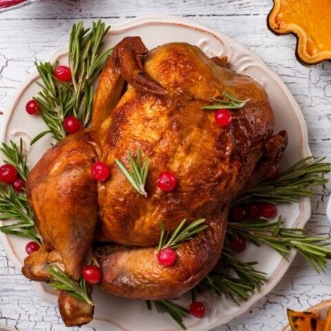 Quick Tips for Thanksgiving Food Safety