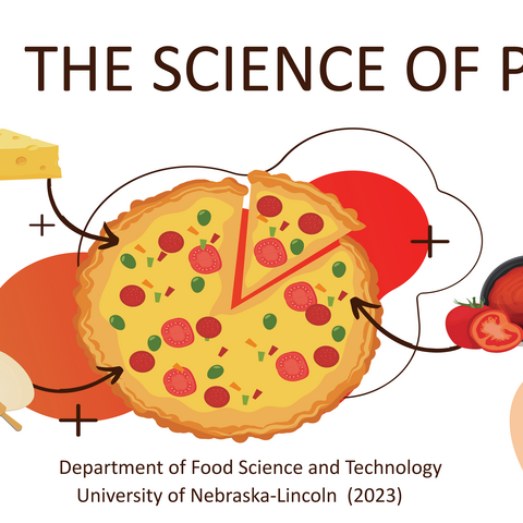 Presentation - The Science of Pizza Presentation (PowerPoint)