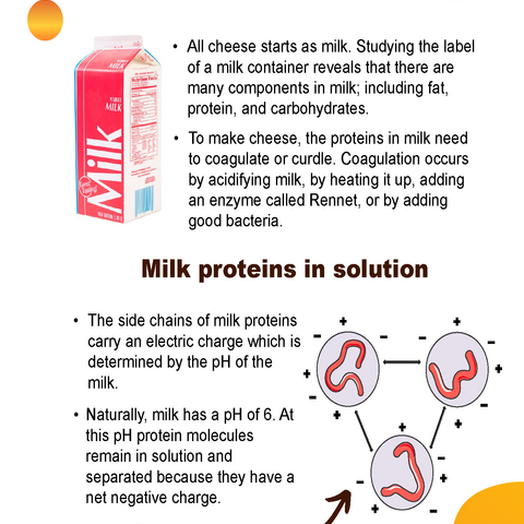 Table Top Flyer - The Science of Pizza Table Top Flyers