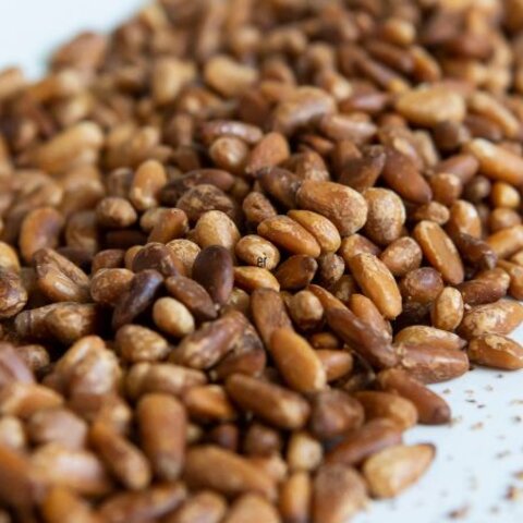 Toasting Nuts and Seeds Using the Microwave, Oven or Stovetop