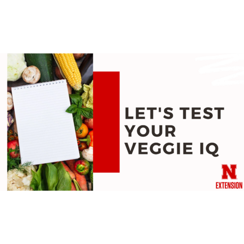 Veggie IQ Presentation (PDF)