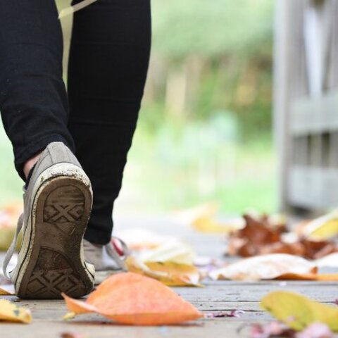 Safety Tips for Walking